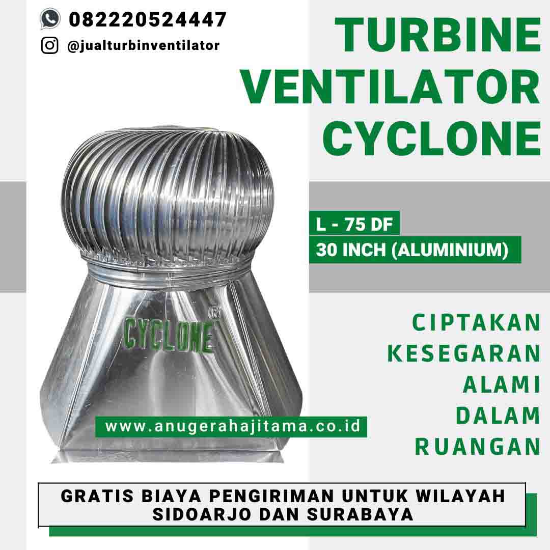 turbine ventilator